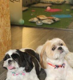 Luxury Pets