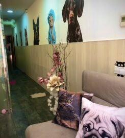 Luxury Pets